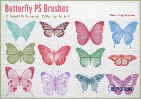 昆虫类各类花蝴蝶背景笔刷ps素材-玩吧资源站
