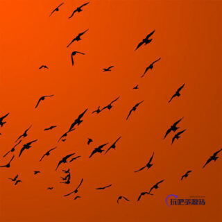 天空飞行小鸟儿ps笔刷素材-玩吧资源站