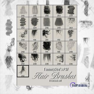 女士卷发、长发、头发PS笔刷素材-玩吧资源站