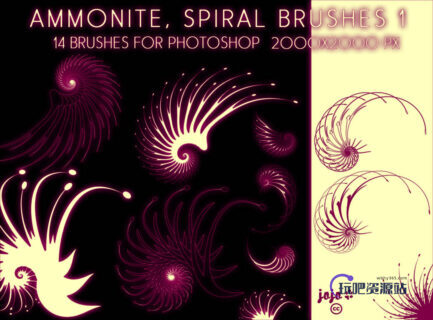 漩涡展开花纹图案PS笔刷素材-玩吧资源站