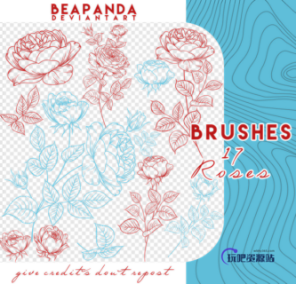 17种盛开的玫瑰花印花图案PS笔刷素材-玩吧资源站