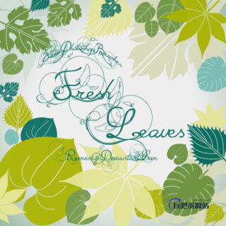 植物树叶、叶子、枫叶PS图形笔刷-玩吧资源站