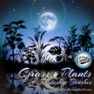 夏雨荷下夜晚草丛背景PS笔刷-玩吧资源站