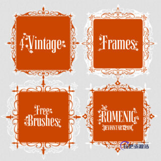 欧式花艺线条边框组合PS笔刷素材-玩吧资源站