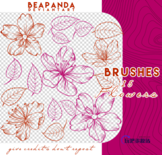15种高品质收回鲜花花朵图案PS笔刷素材-玩吧资源站