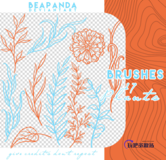 17种手绘叶子印花图案PS笔刷素材-玩吧资源站