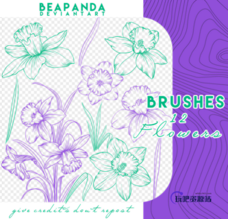 精美的手绘鲜花花束图案PS笔刷素材-玩吧资源站