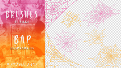 手绘蜘蛛网图案PS笔刷素材免费下载-玩吧资源站