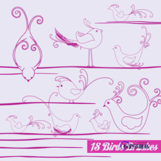 手绘线条艺术小鸟图形PS笔刷-玩吧资源站