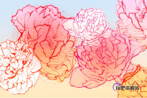 手绘涂鸦素描牡丹花朵PS笔刷素材-玩吧资源站