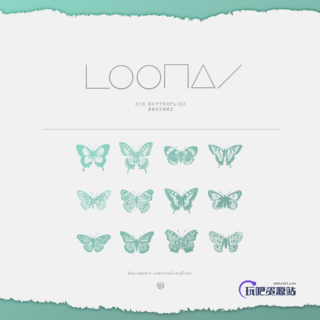 精美蝴蝶昆虫标本PS笔刷素材-玩吧资源站