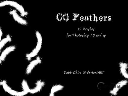 仿真羽毛、鸟毛素材PS笔刷-玩吧资源站