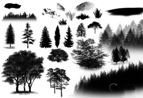 水墨风格的杉树、大树、松树等图形PS笔刷素材-玩吧资源站