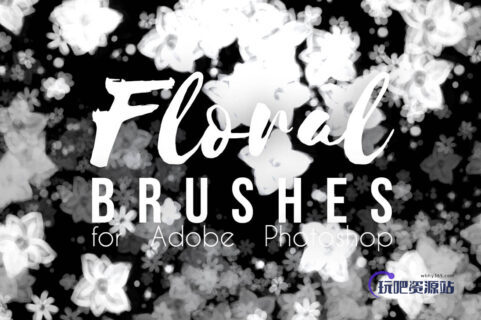 背景虚化式花纹效果PS笔刷-玩吧资源站