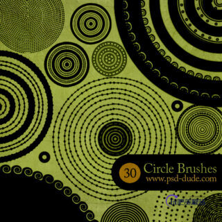 30种圆盘式印花、罗盘花纹图案PS笔刷素材-玩吧资源站