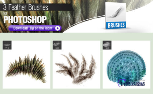 3种手绘模拟羽毛图形PS笔刷素材-玩吧资源站