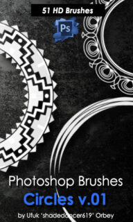 圆盘式花纹图案PS笔刷素材-玩吧资源站