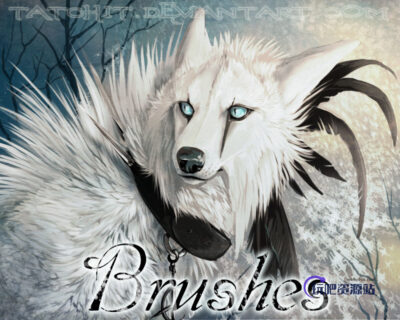 一组简洁cg创作插图插画绘画PS笔刷-玩吧资源站