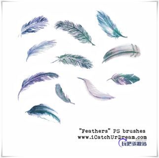 水彩效果的羽毛图案PS笔刷素材-玩吧资源站