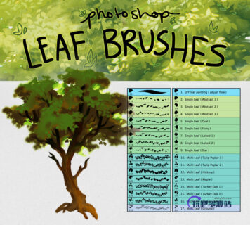 各种树叶、植物叶子cg绘画创作PS笔刷素材-玩吧资源站