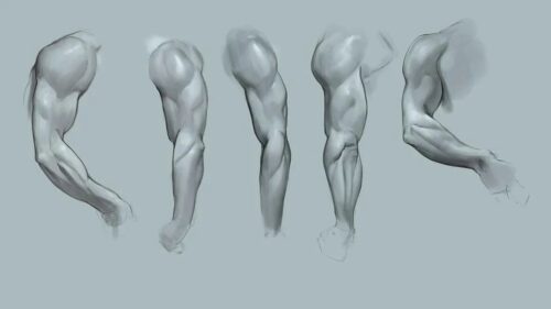 简单的Photoshop插画人体结构笔刷素材-玩吧资源站