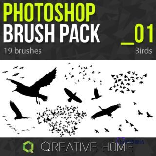 鸟群、天空中的飞鸟剪影背景PS笔刷素材-玩吧资源站