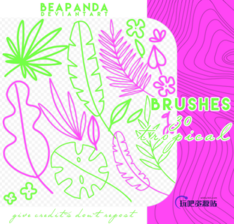 手绘植物叶子、涂鸦树叶PS笔刷素材-玩吧资源站