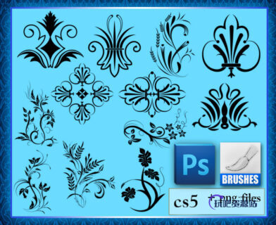 欧式精美植物印花图案PS笔刷素材-玩吧资源站