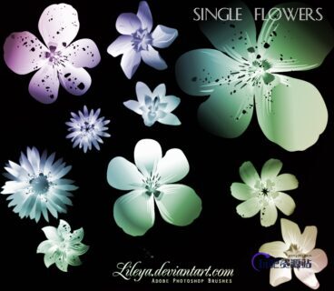 植物鲜花美丽花朵儿笔刷下载-玩吧资源站