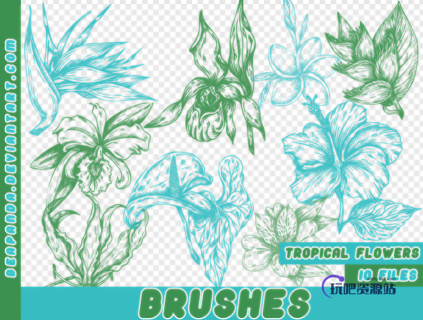漂亮的植物素描绘画图案PS笔刷素材-玩吧资源站