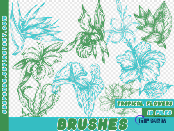 漂亮的植物素描绘画图案PS笔刷素材