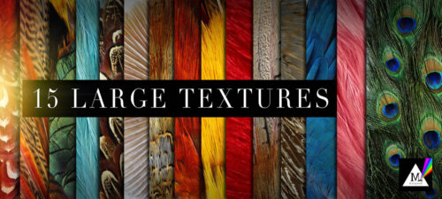 孔雀羽毛、鸟类羽毛材质、飞禽羽毛纹理PS笔刷素材（JPG高清图片）-玩吧资源站