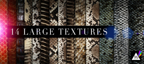 14种高清爬行动物皮肤、蛇类、蜥蜴类表皮纹理材质PS笔刷（JPG图片格式素材）-玩吧资源站