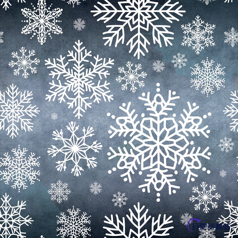 10精美雪花花纹PS笔刷