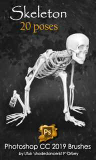 20种骷髅头骨架、恐怖人体骨骸PS笔刷-玩吧资源站