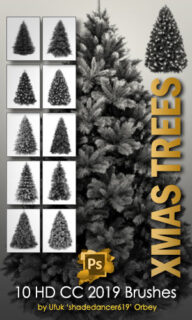 10种高清圣诞树、雪松PS笔刷素材-玩吧资源站