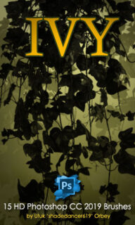 15种高清藤蔓、植物藤蔓缠绕PS笔刷-玩吧资源站