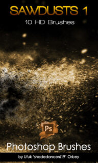 10种高清木屑、碎屑、碎渣纹理PS笔刷素材-玩吧资源站