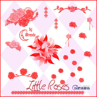 植物素材玫瑰花朵_鲜花儿PS笔刷-玩吧资源站