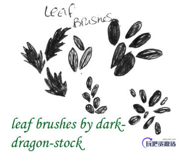手绘树叶_叶子_野草PS笔刷素材-玩吧资源站