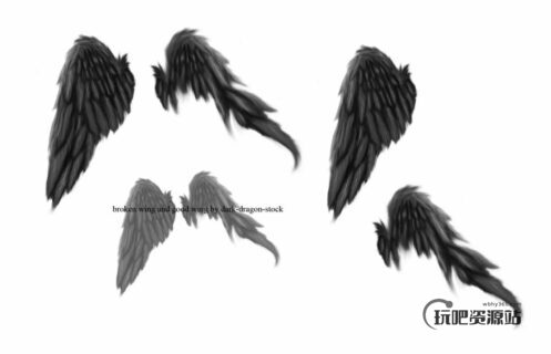折断的翅膀、折翼天使PS羽毛翅膀笔刷-玩吧资源站