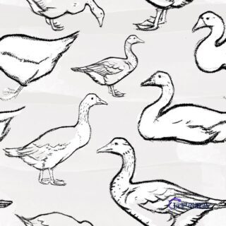 手绘动物鹅图像PS笔刷素材-玩吧资源站