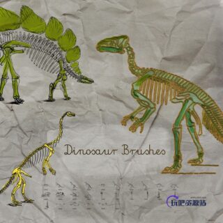 手绘恐龙化石、侏罗纪恐龙骨骼图案PS笔刷-玩吧资源站