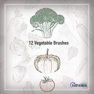 12种手绘蔬菜大白菜_南瓜_西红柿图像PS笔刷素材-玩吧资源站