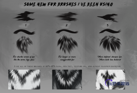 一组新的皮毛纹理涂抹PS笔刷素材-玩吧资源站