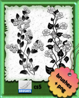 漂亮的手绘野草野花花纹图案PS笔刷素材-玩吧资源站