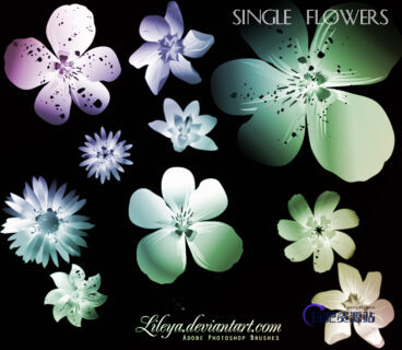 矢量式鲜花花朵图案装饰Photoshop笔刷下载-玩吧资源站