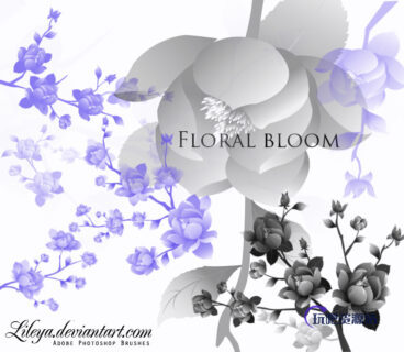 漂亮的枝条鲜花组合图案PS笔刷下载-玩吧资源站