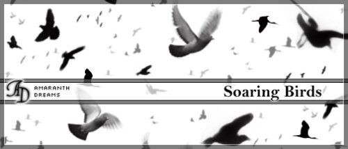 飞鸟、鸟群效果PS笔刷下载-玩吧资源站