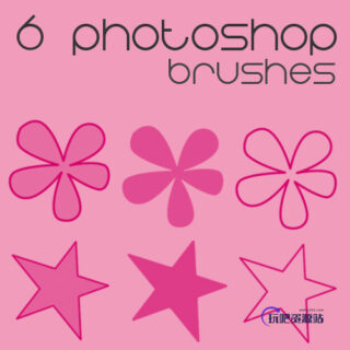 6种可爱小花朵、五角星图像PS笔刷下载-玩吧资源站